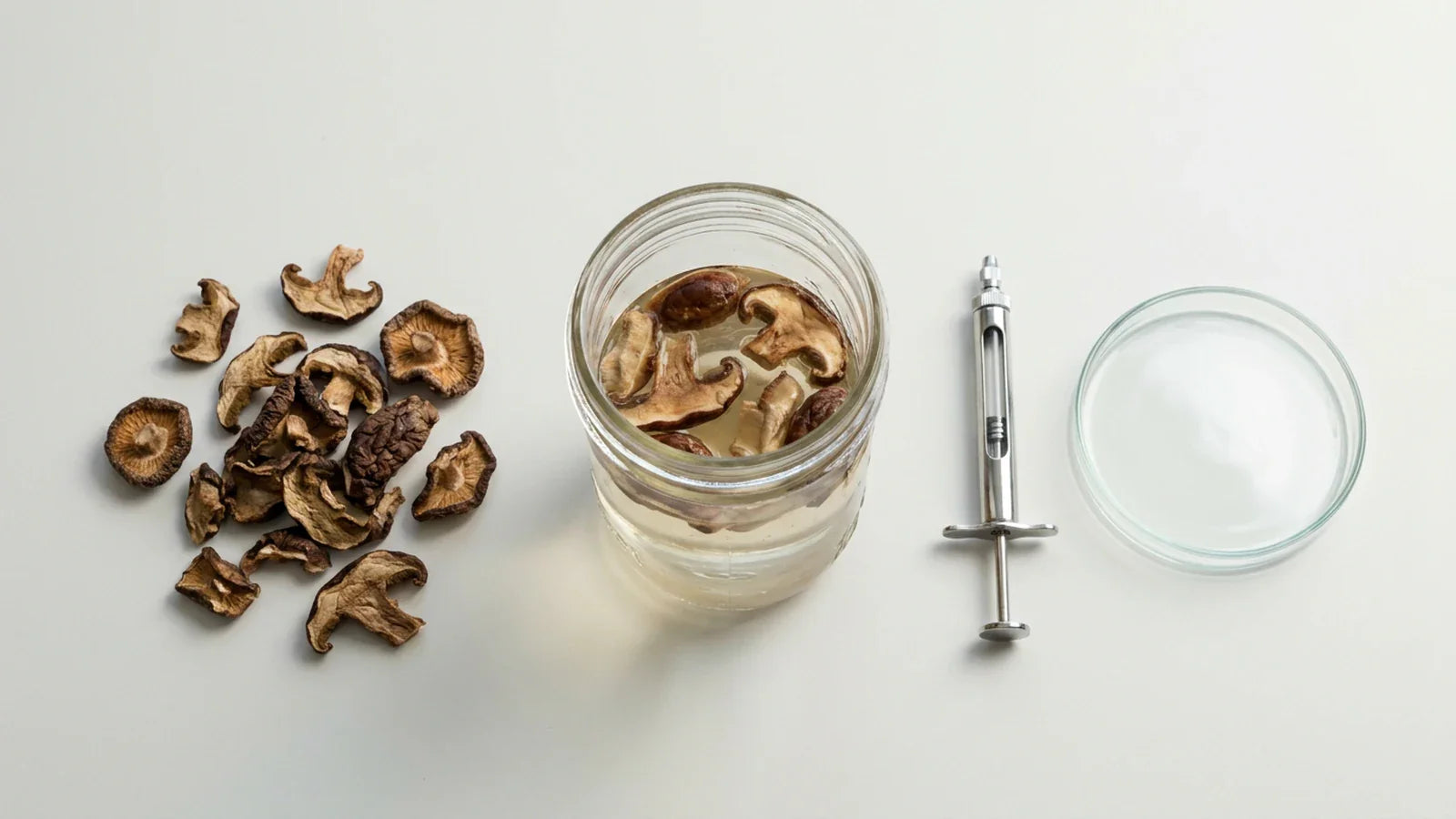 Can You Grow Mushrooms From Dried Mushrooms Using a Mushroom Grow Kit?