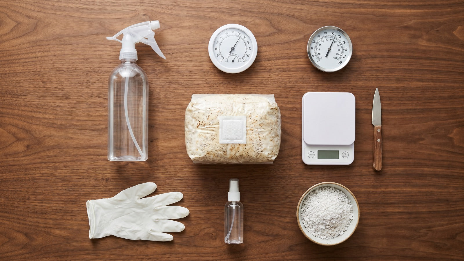 Nine essential mushroom-growing items arranged on a wood surface