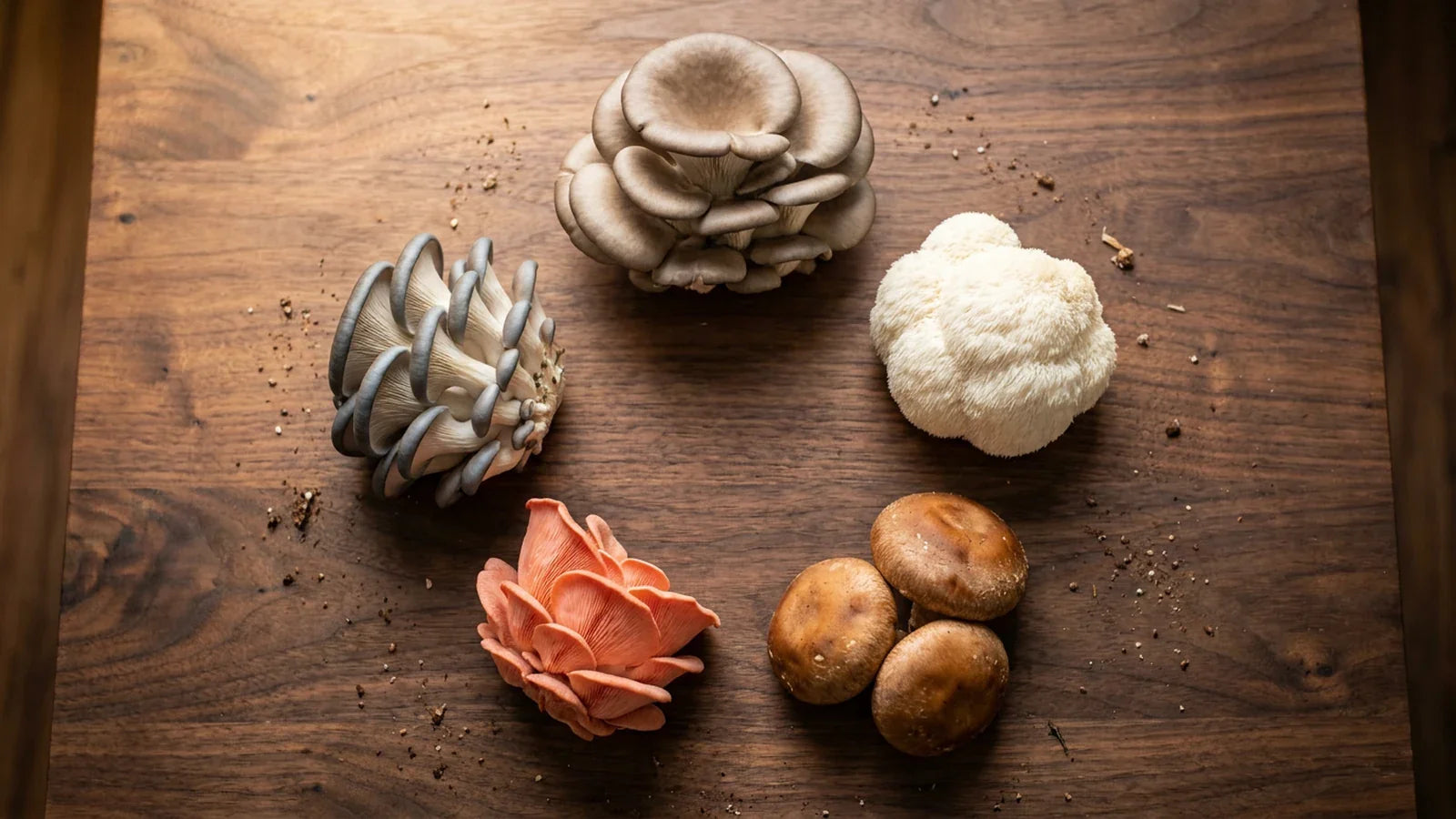 Growable Mushrooms