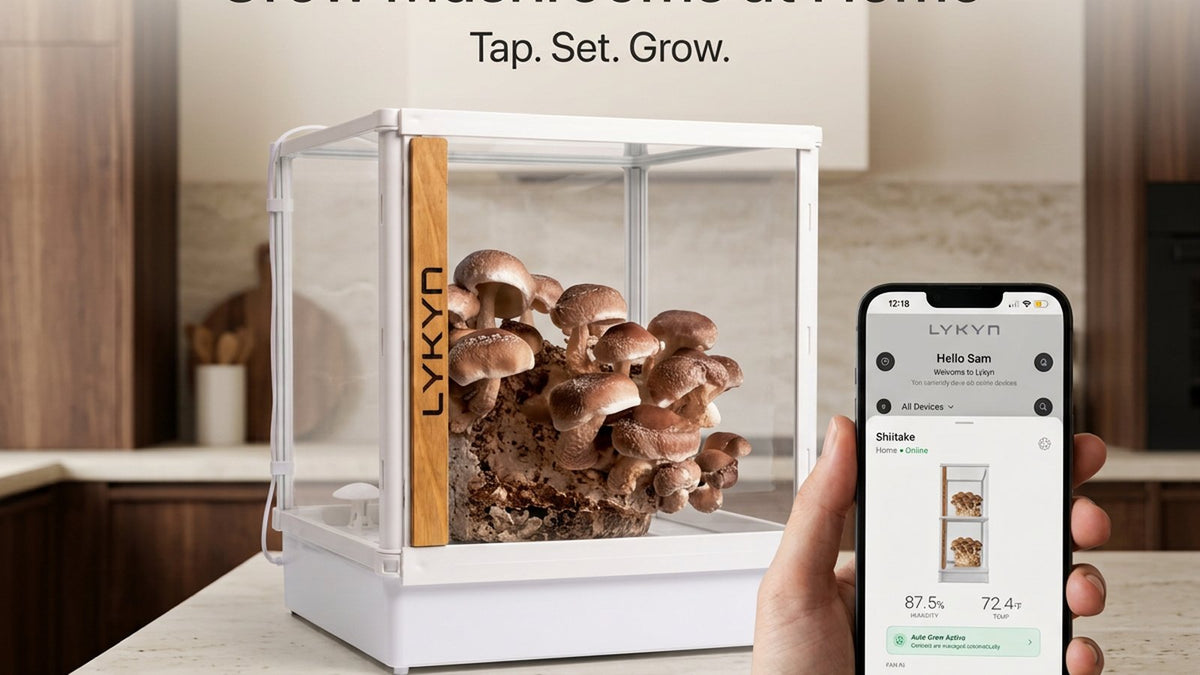 Shiitake (Lentinula edodes) with the Lykyn app tap-set-grow flow, marketing banner