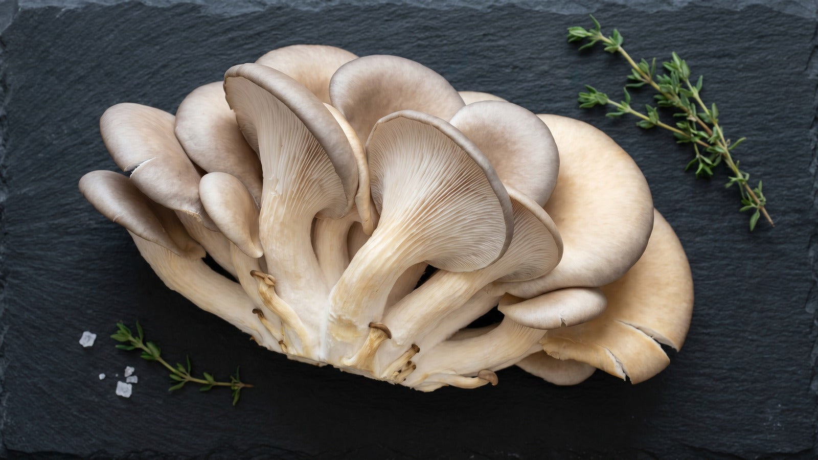 Oyster Mushroom - Delicious, Nutritious, and Versatile