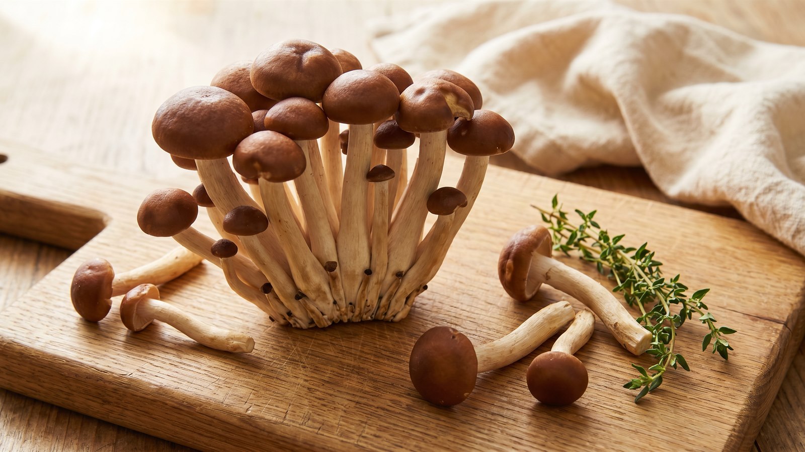 Tight bouquet cluster of pioppino mushrooms (Agrocybe aegerita) with chestnut-brown caps and slender cream stems on an oak cutting board with fresh thyme and a linen napkin