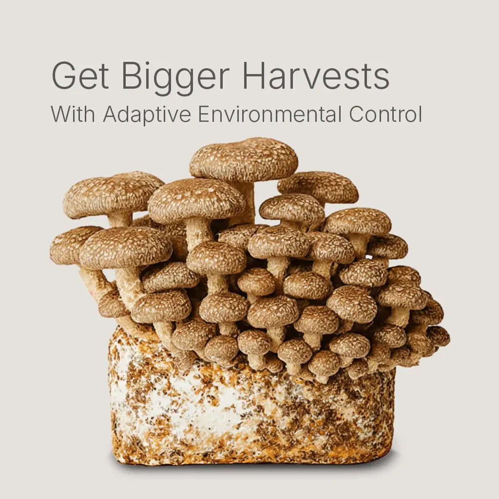 Smart Mushroom Grow Kit