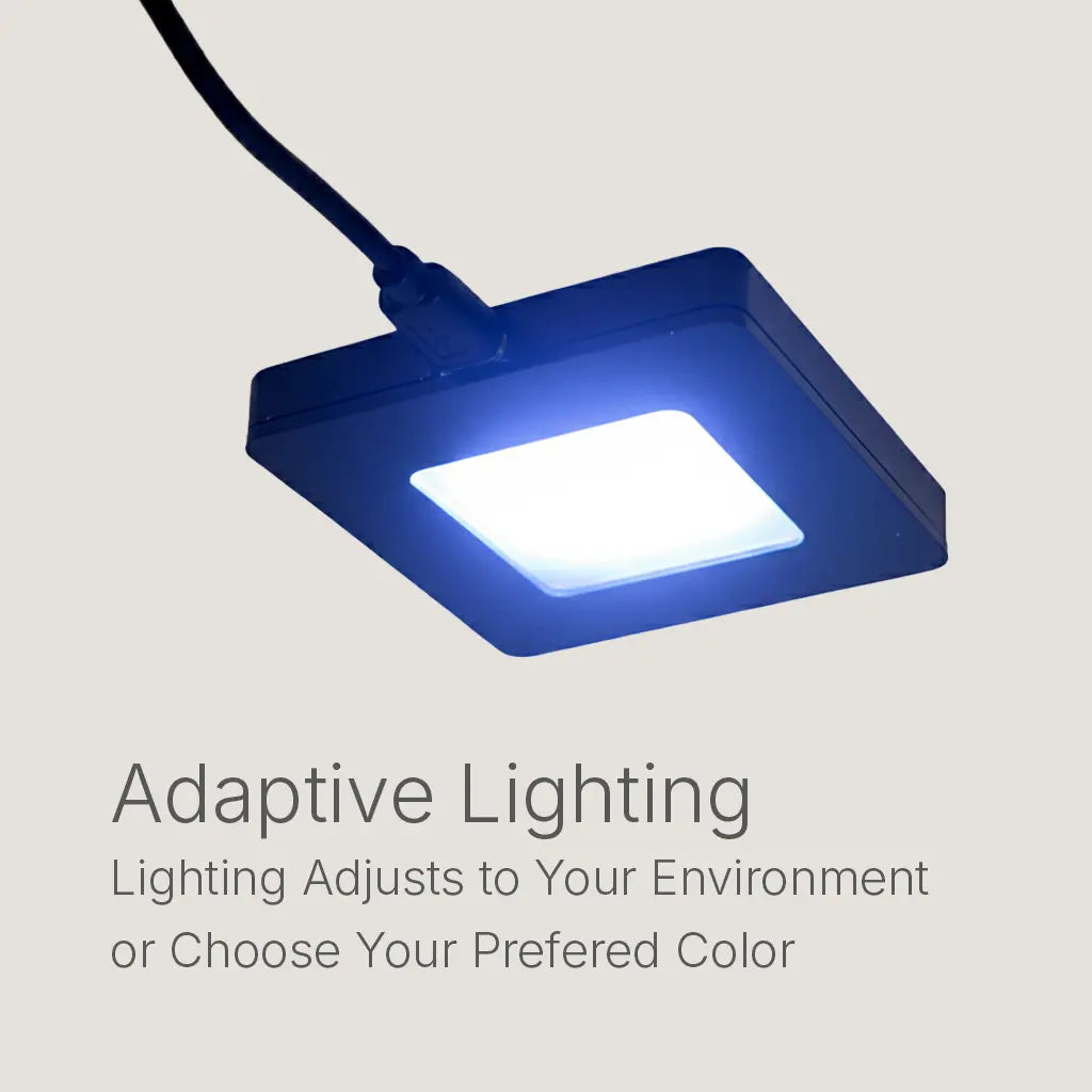 Lykyn Automated Mushroom Fruiting Chamber