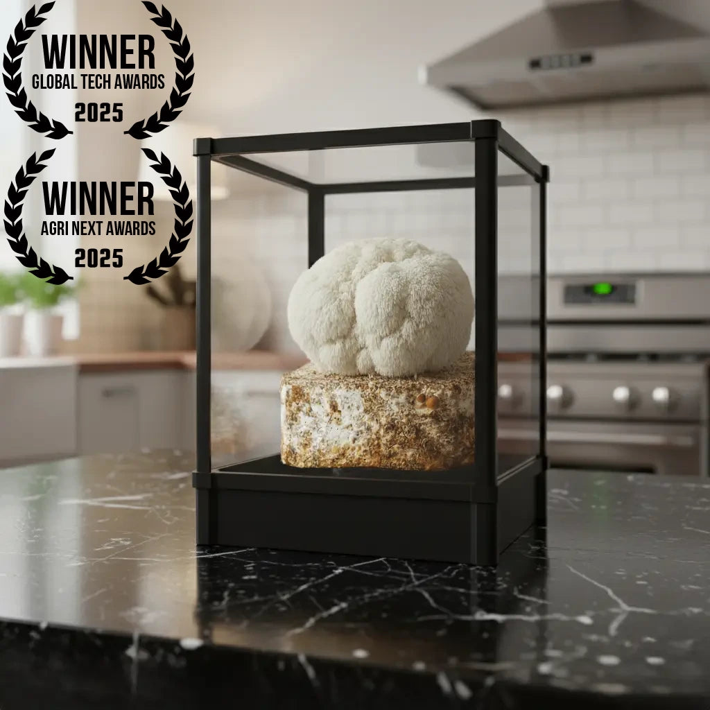 Lykyn Automated Mushroom Fruiting Chamber