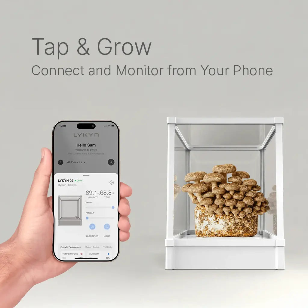 Smart pet feeder with phone app interface on a gray background