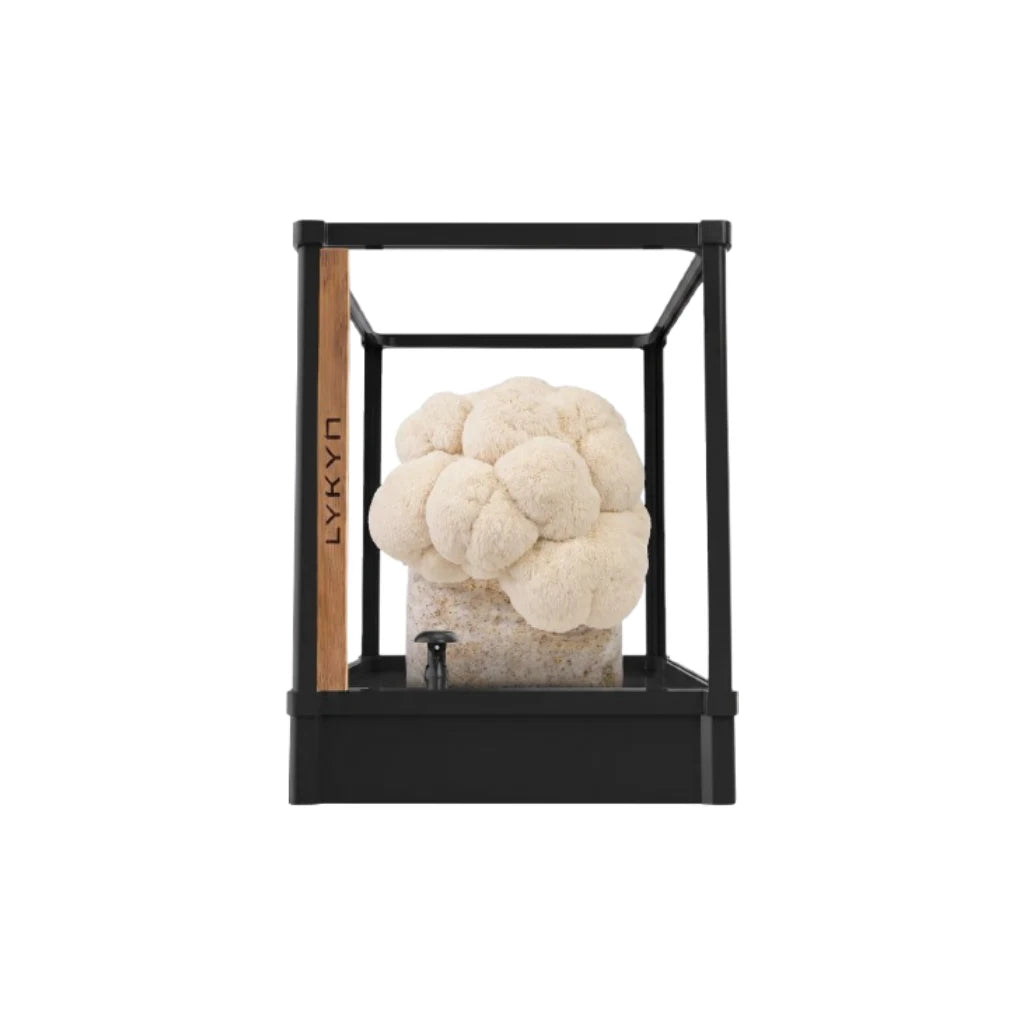 Automated Mushroom Grow Box