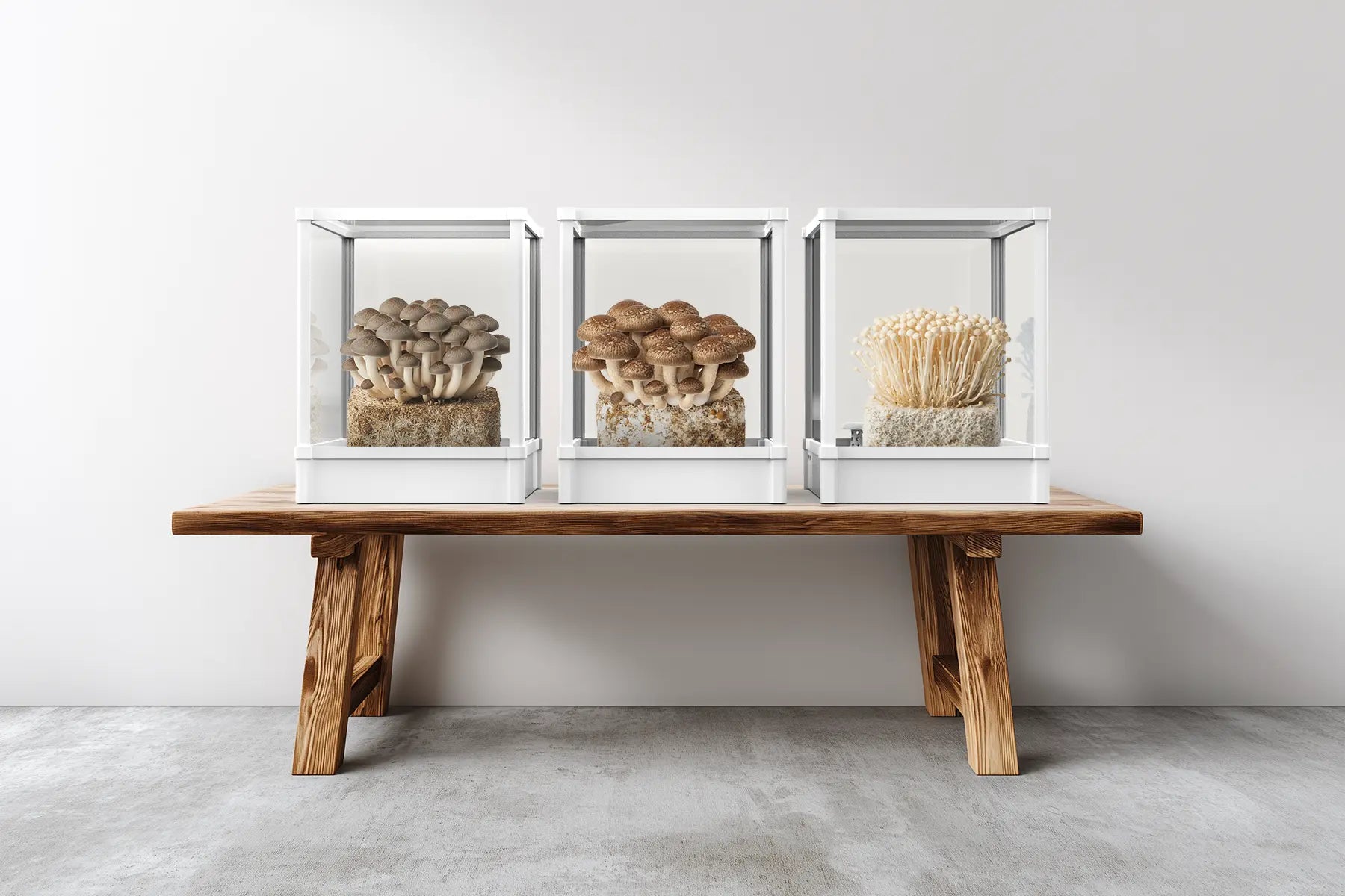 Benefits of Using a Mushroom Growing Kit