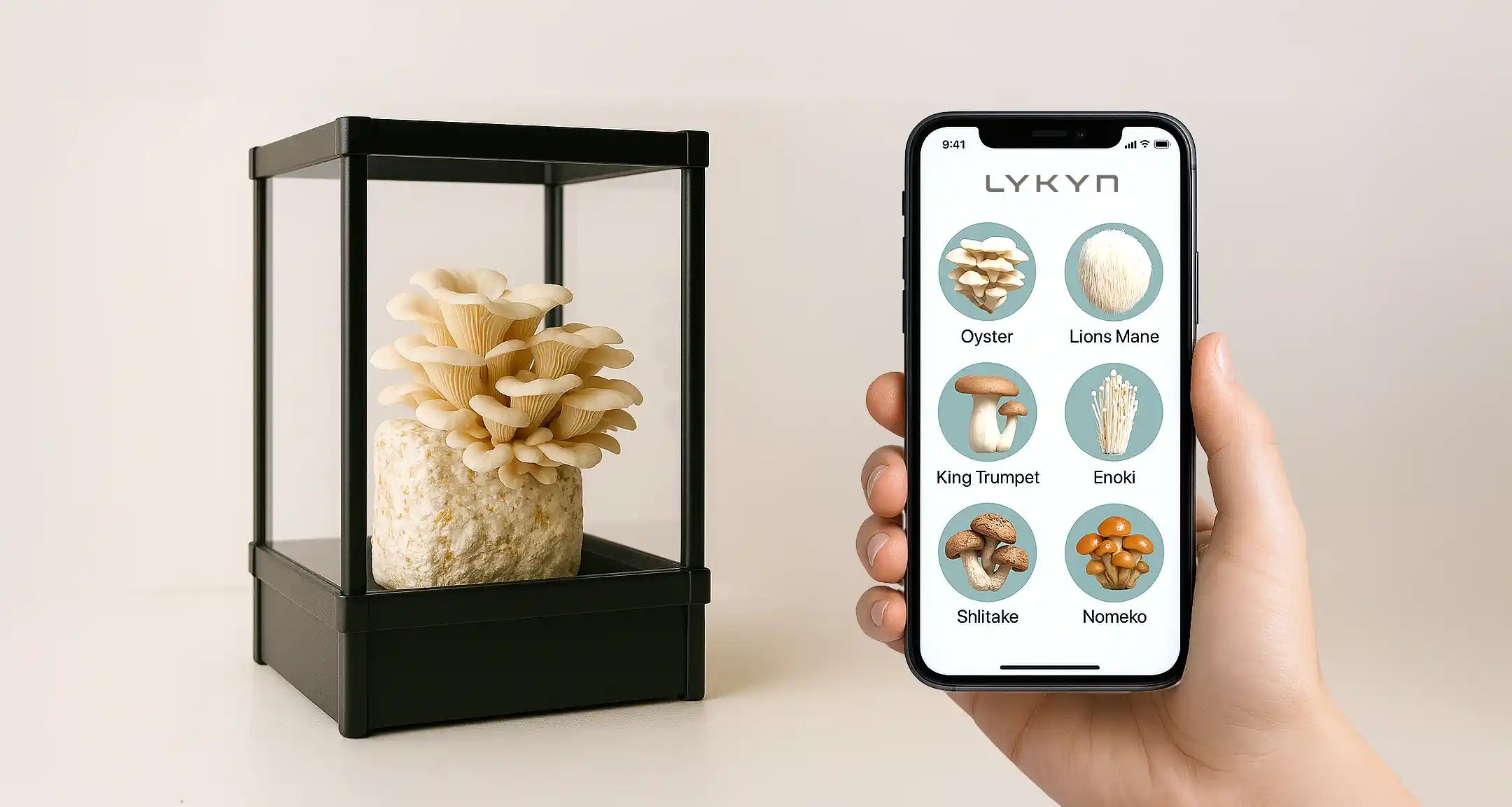 lykyn mushroom grow kit