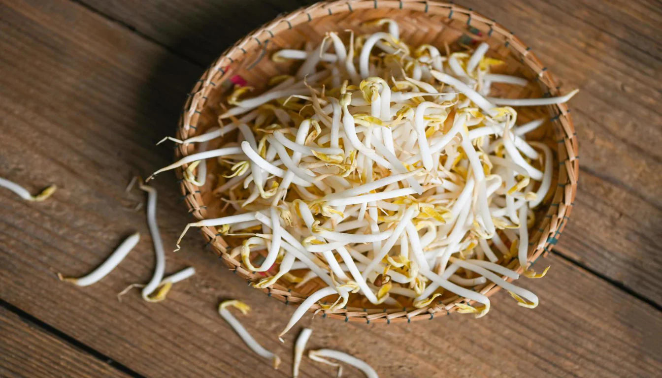 Mung Bean Sprouts Nutrition: Complete Guide to Health Benefits and Nutritional Value
