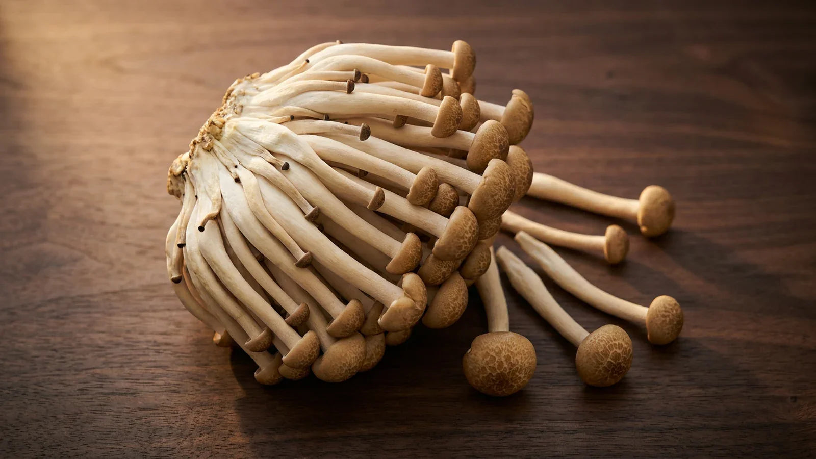 Beech Mushrooms