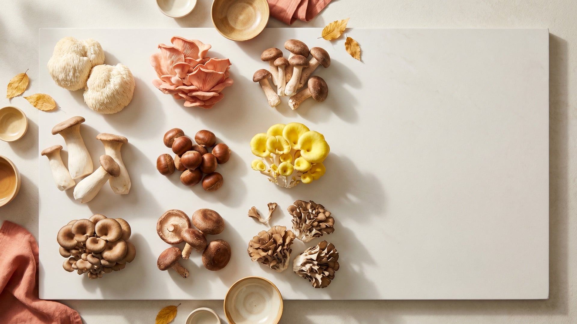 gourmet mushrooms