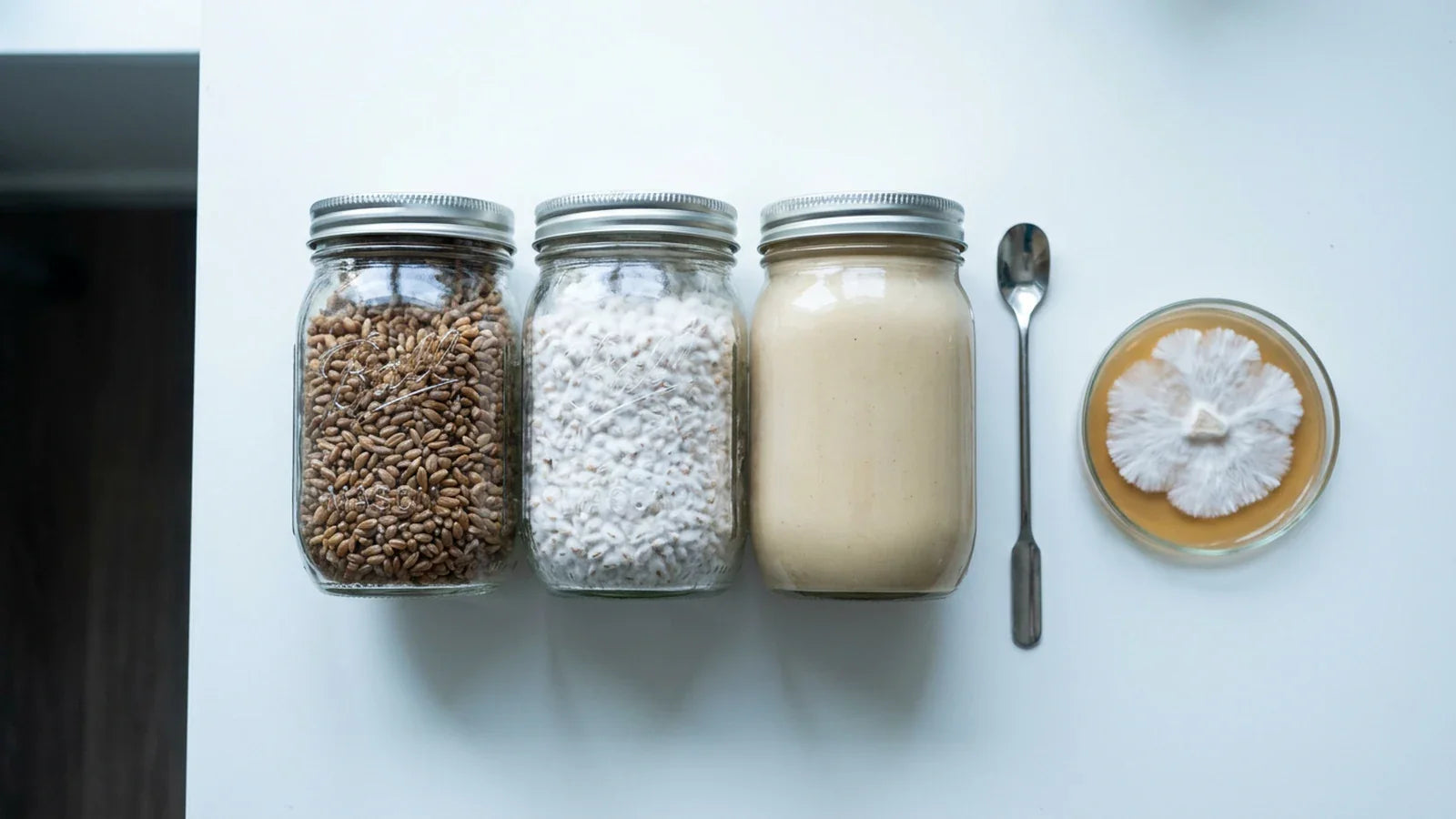 Grow Kits for Psychedelic Mushrooms