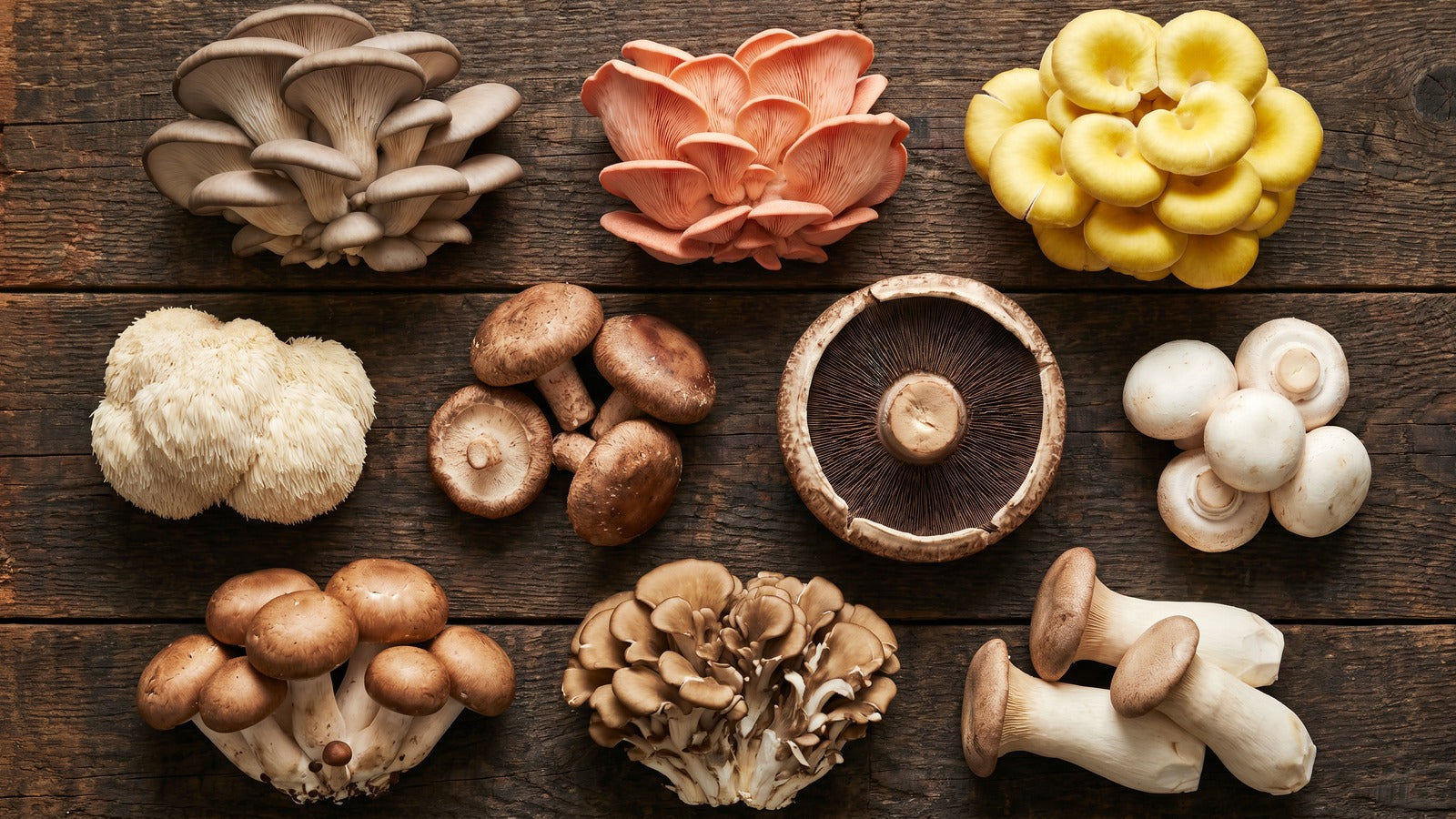 Diverse mushroom varieties including golden oyster, shiitake, lion's mane, pink 