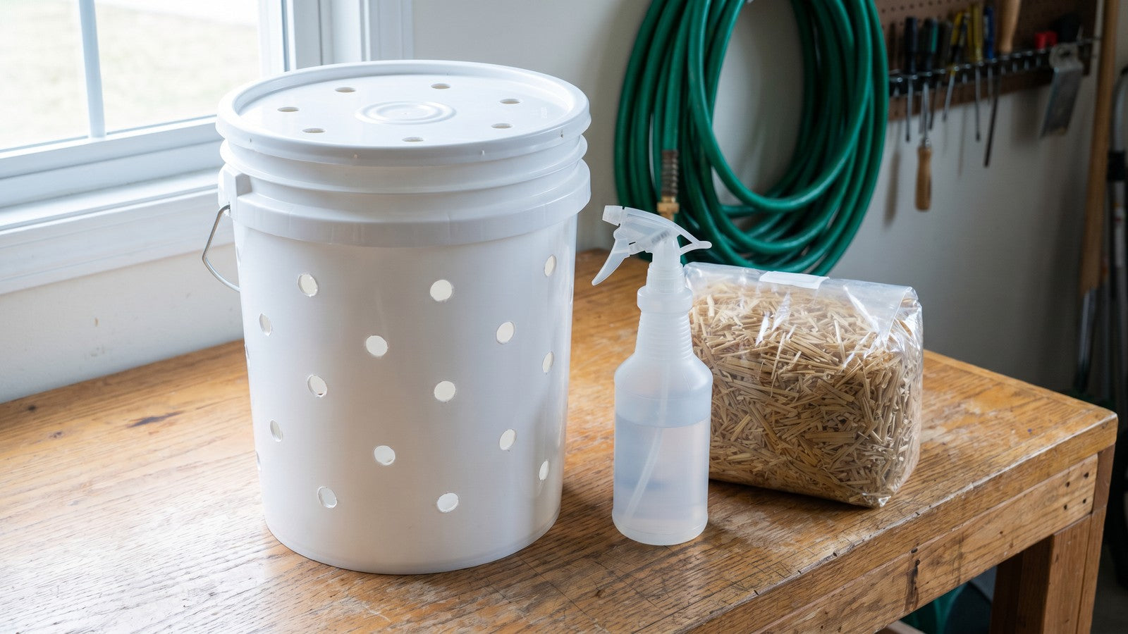 5-gallon plastic bucket with drilled holes for oyster mushroom growing on a garage workbench