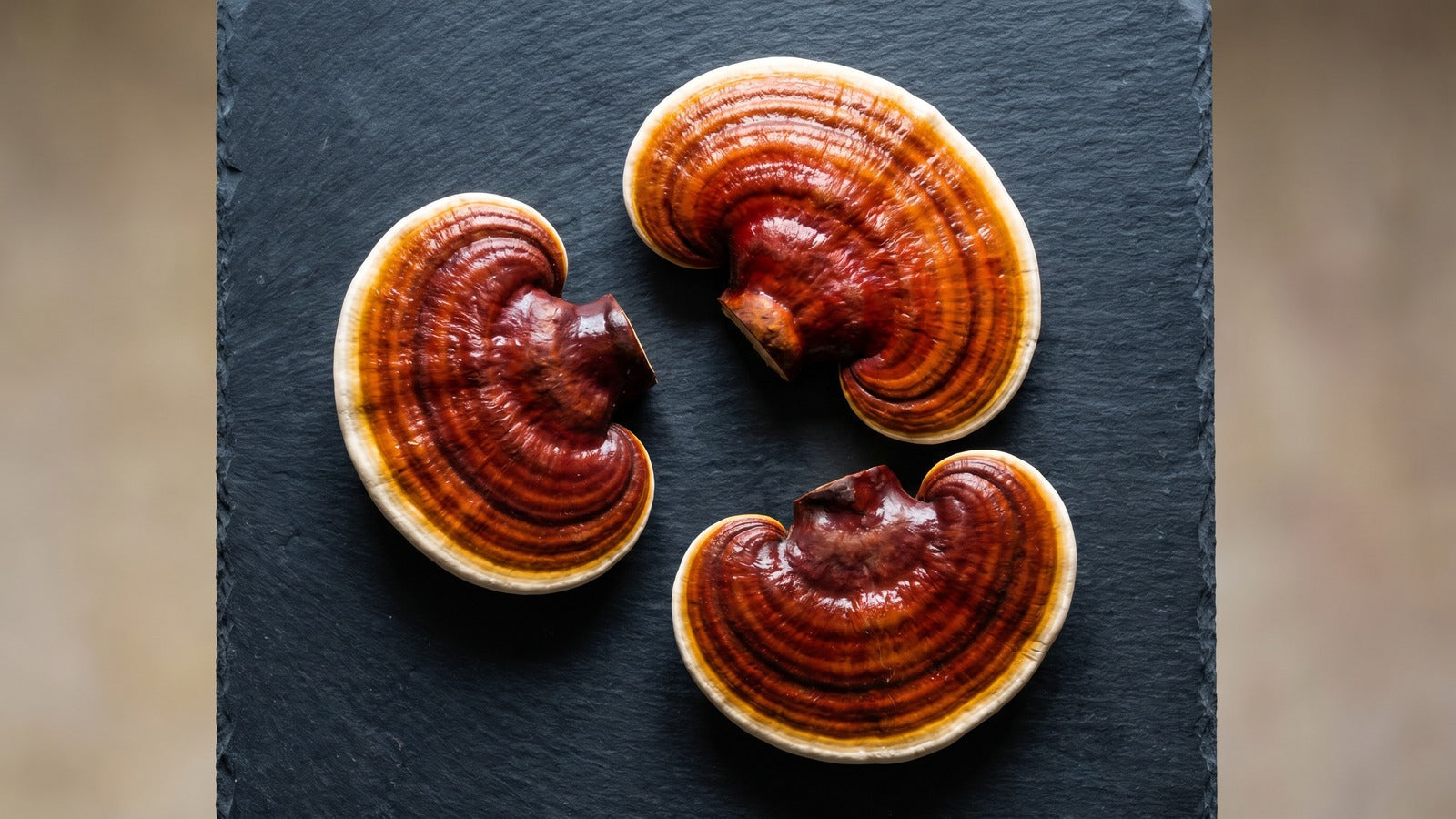 Mature reishi mushrooms with characteristic glossy red caps on a wooden surface