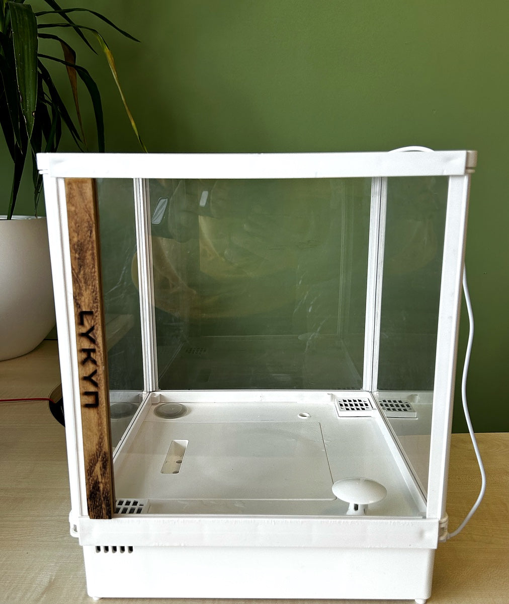 Bone White Lykyn Automated Mushroom Grow Box on a bright kitchen counter with a cluster of pink oyster mushrooms fruiting inside the sealed glass chamber.