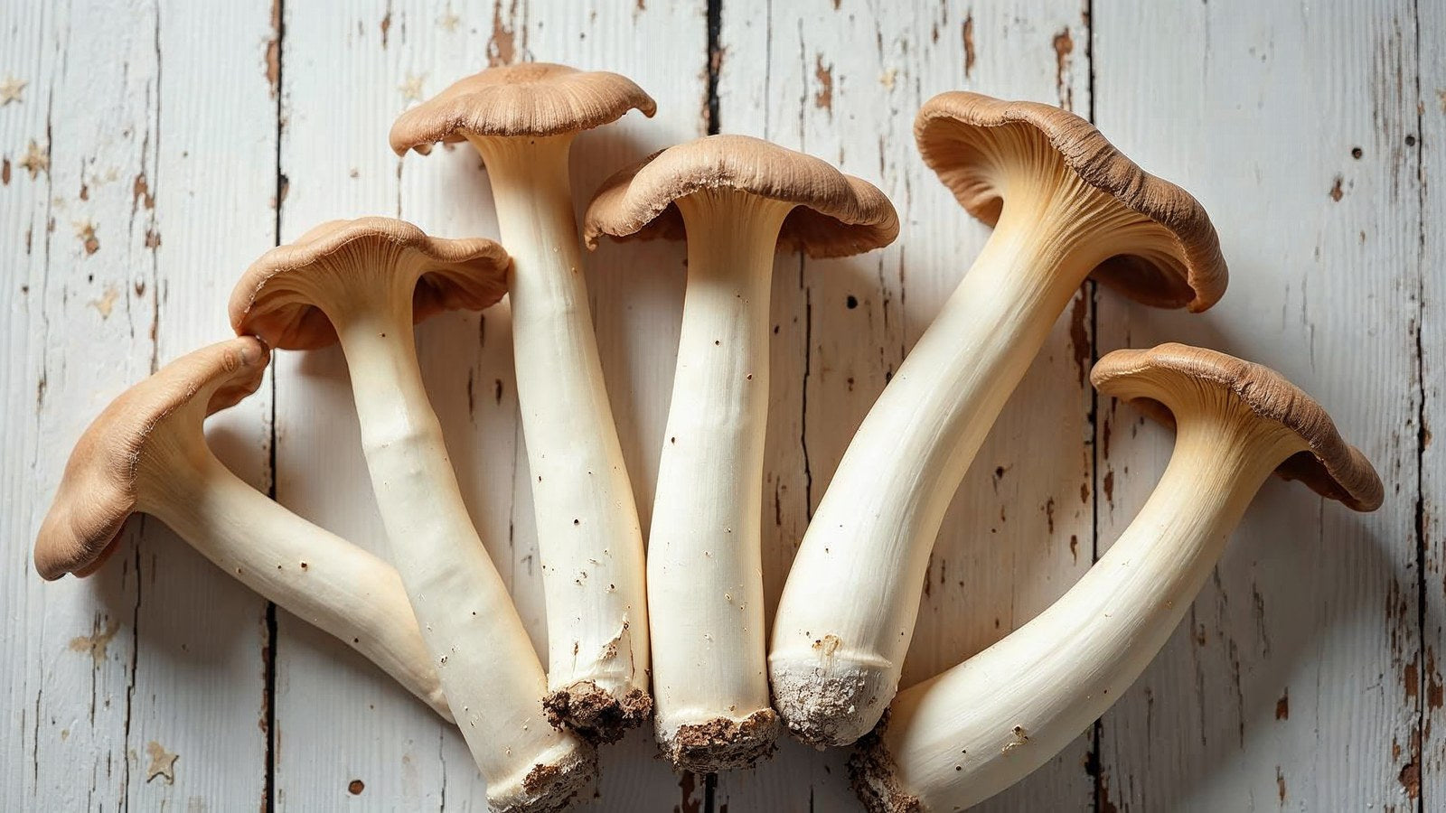 King trumpet mushrooms with their characteristic thick stems on a wooden board