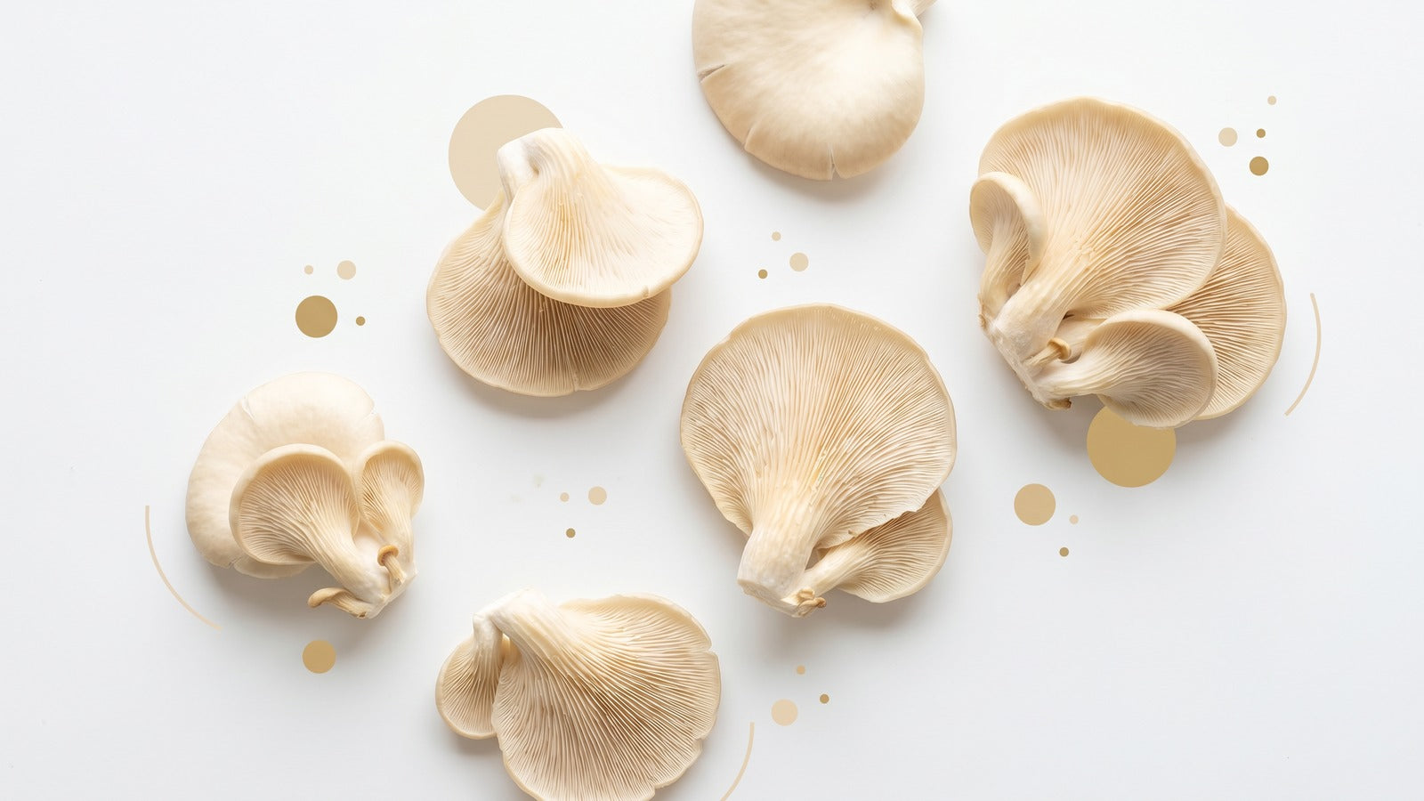 Pearl oyster mushrooms arranged on a clean white surface in a health-magazine editorial composition with bright natural daylight