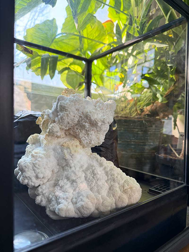 Melissa Kowalski's Lykyn chamber at home