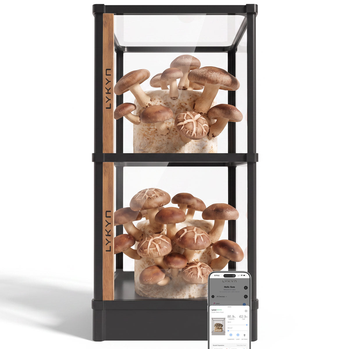 Automated Mushroom Grow Box