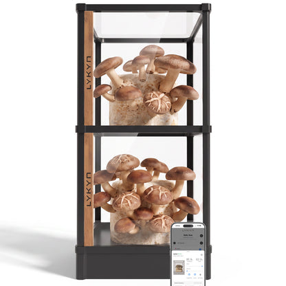 Automated Mushroom Grow Box