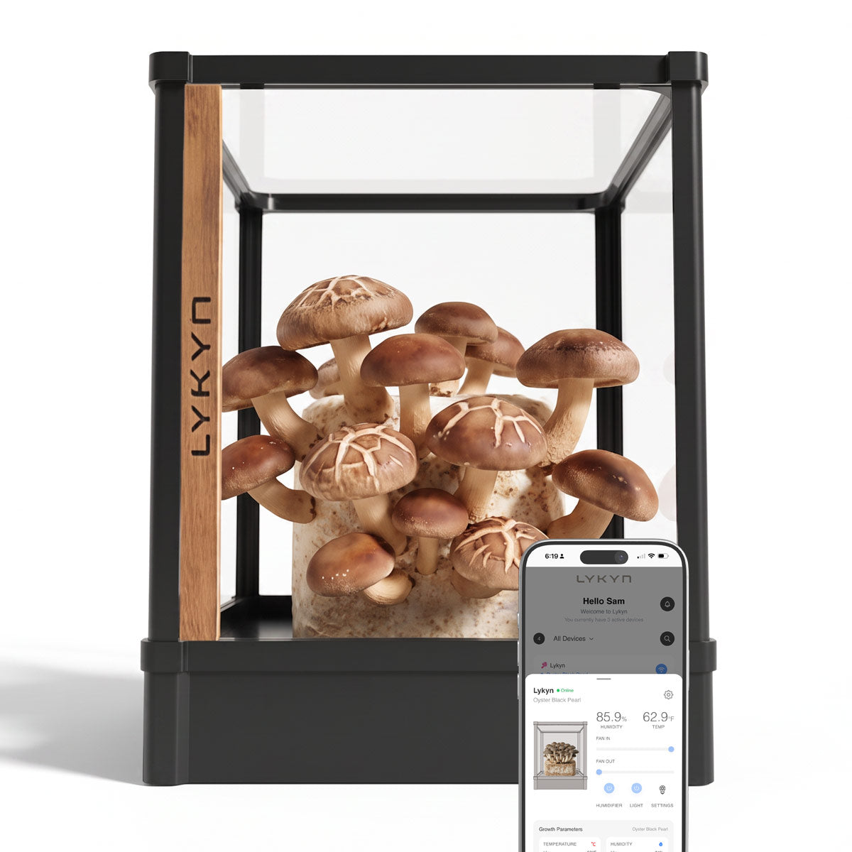 A LYKYN smart mushroom grow kit with shiitake mushrooms growing inside a black frame and wood-grain side panel, shown with a smartphone app screen overlay on a white background.