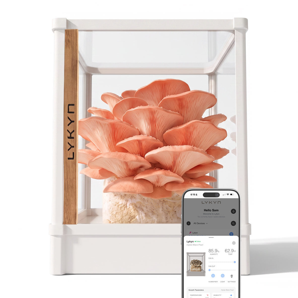 A white LYKYN indoor mushroom grow kit with a large cluster of pinkish-orange oyster mushrooms growing inside, shown on a clean white background with a smartphone app screen overlay in the lower right.