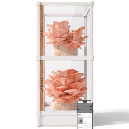 Automated Mushroom Grow Box