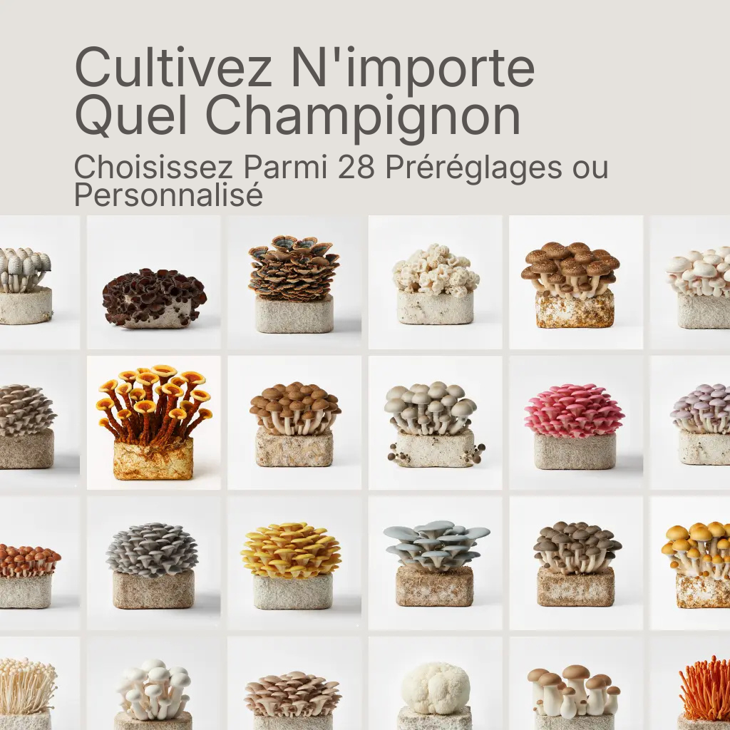 Lykyn brand asset: Grow Any Mushroom French