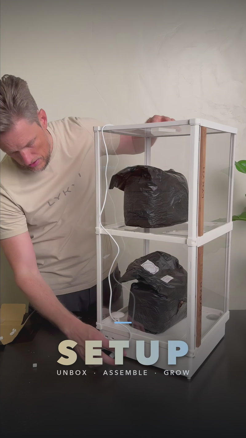 Double Layer Setup